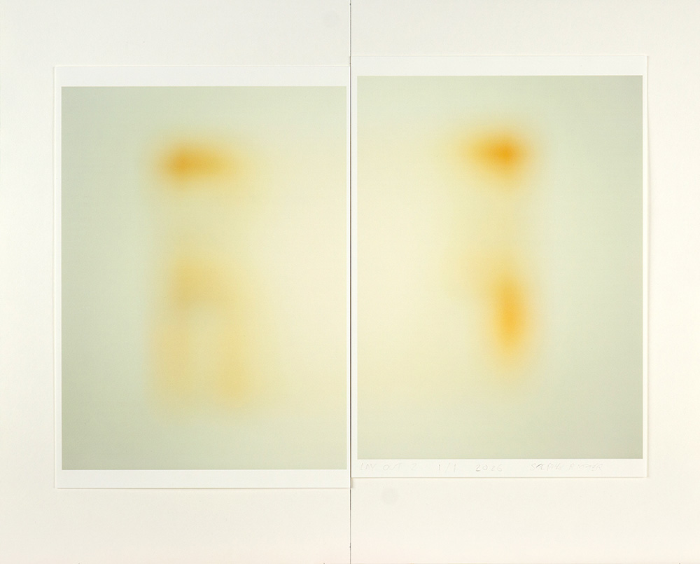 Abstract limited edition print by Stephen Ritter reflecting the spiritual awakening process.